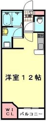 レオネクストパティオ２　44916の物件間取画像